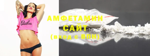 СК Алексин