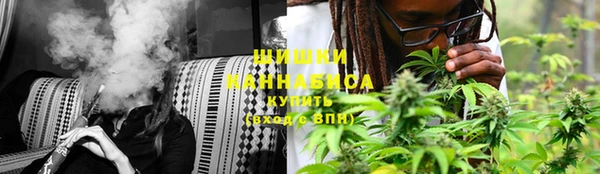 шишки Балабаново